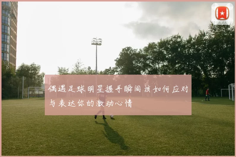 偶遇足球明星握手瞬间该如何应对与表达你的激动心情