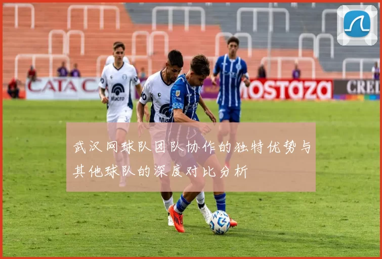 武汉网球队团队协作的独特优势与其他球队的深度对比分析