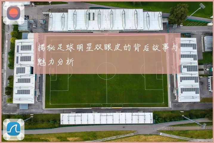 揭秘足球明星双眼皮的背后故事与魅力分析