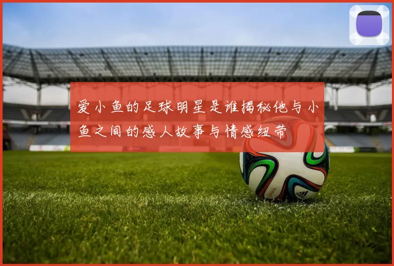 爱小鱼的足球明星是谁揭秘他与小鱼之间的感人故事与情感纽带