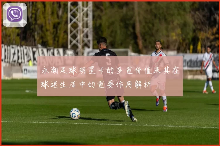 永潮足球明星卡的多重价值及其在球迷生活中的重要作用解析