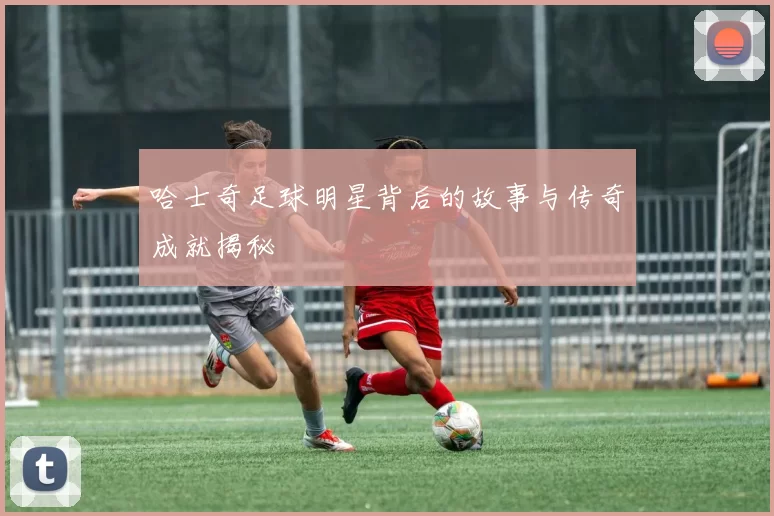 哈士奇足球明星背后的故事与传奇成就揭秘