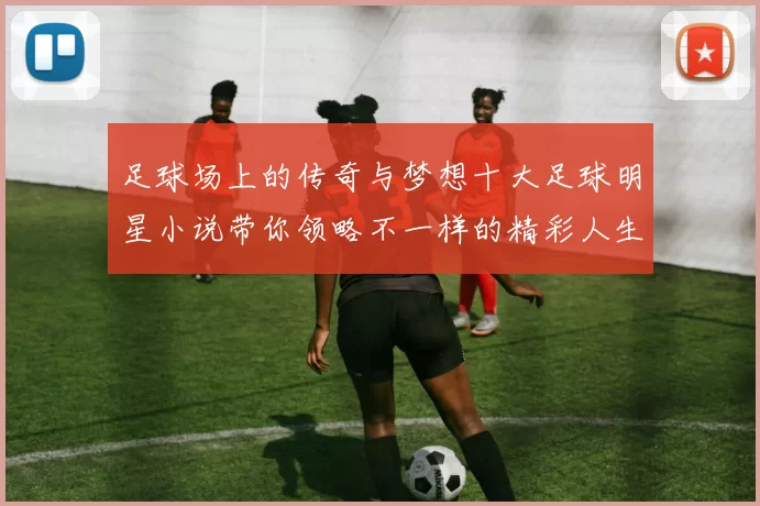 足球场上的传奇与梦想十大足球明星小说带你领略不一样的精彩人生