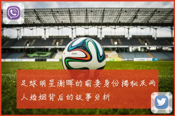 足球明星谢晖的前妻身份揭秘及两人婚姻背后的故事分析