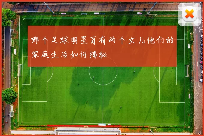 哪个足球明星育有两个女儿他们的家庭生活如何揭秘