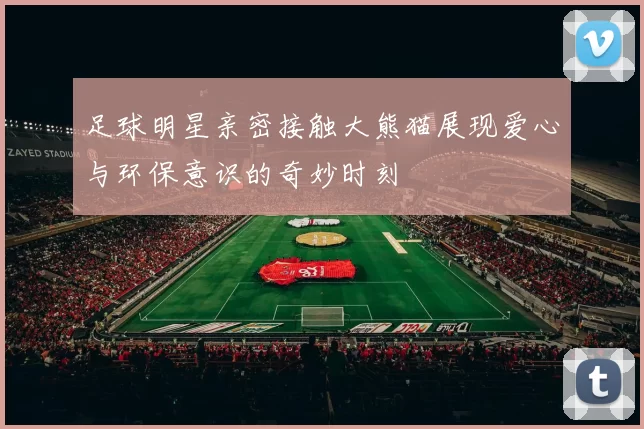 足球明星亲密接触大熊猫展现爱心与环保意识的奇妙时刻