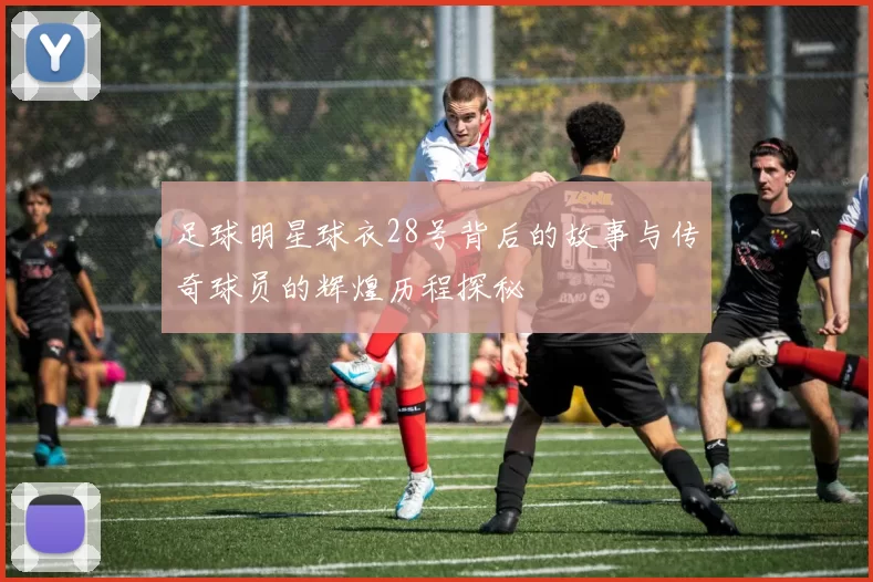 足球明星球衣28号背后的故事与传奇球员的辉煌历程探秘