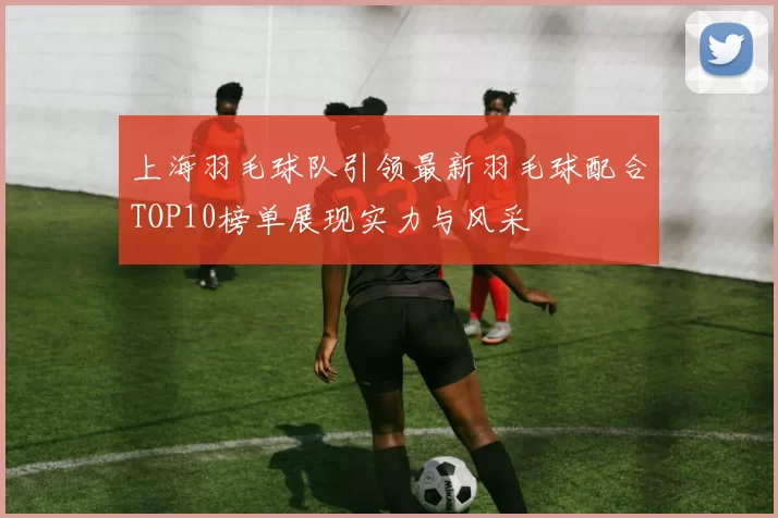 上海羽毛球队引领最新羽毛球配合TOP10榜单展现实力与风采